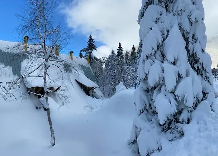 ~chalet_rifugio Tra I Boschi~ Sella Nevea